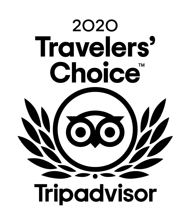 2020-travelers-choice-award-for-best-choice-for-family